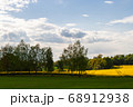 Beautiful field of yellow rape, grass and trees. 68912938