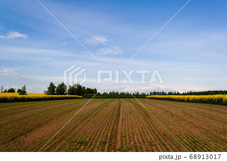 Cultivation of agricultural crops 68913017