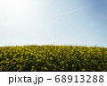 Beautiful field of yellow rape on sky and airplane 68913288