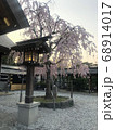 桜 68914017