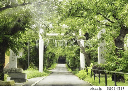 鳥居 鳥居 68914513