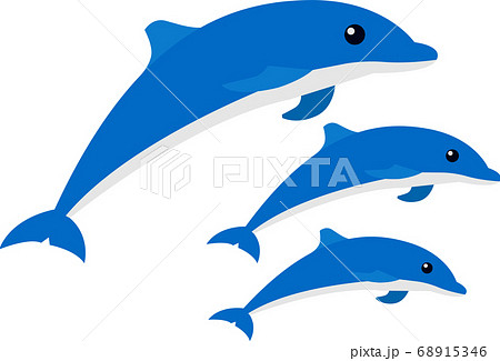 イルカのイラスト 海豚 イルカショー ベクターのイラスト素材