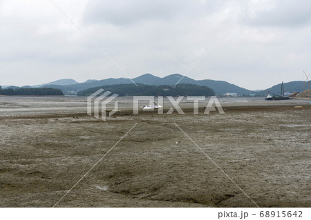 安山市 風景 干潟 68915642