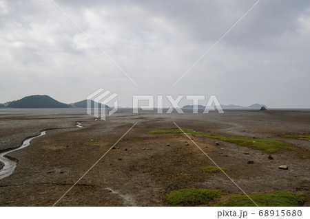 安山市 風景 干潟 68915680
