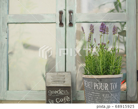 ナチュラルアンティーク雑貨 窓辺にラベンダーの花 ナチュラルアンティーク雑貨 窓辺にラベンダーの花 68915925