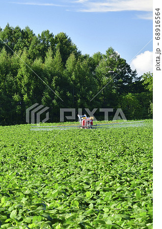 北海道厚沢部町で大豆畑の防除作業をする夏の風景を撮影 68916564