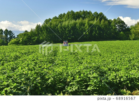 北海道厚沢部町で大豆畑の防除作業をする夏の風景を撮影 68916567
