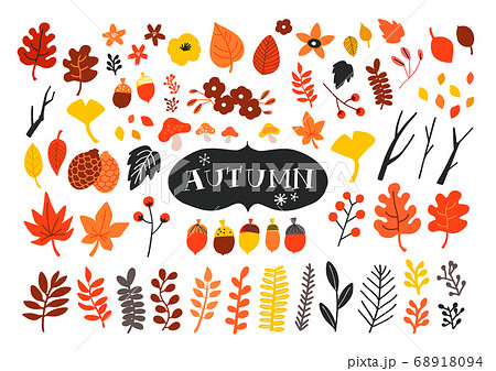 手描きの秋の植物イラストセットのイラスト素材