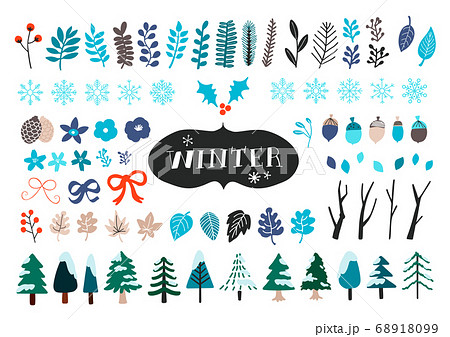 手描きの冬の植物イラストセットのイラスト素材
