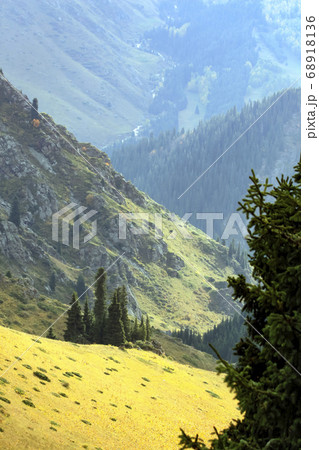 Autumn landscape in the mountain Asian taiga Autumn landscape in the mountain Asian taiga 68918136