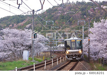 山中渓駅の桜のトンネルを通過する紀州路快速 大阪府阪南市山中渓駅 山中渓駅の桜のトンネルを通過する紀州路快速 大阪府阪南市山中渓駅 68918201