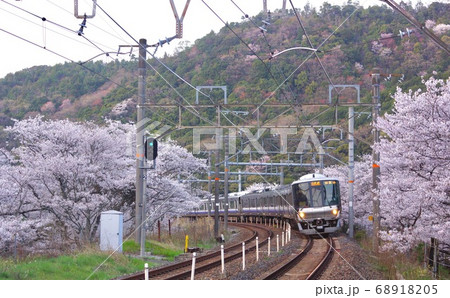 山中渓駅の桜のトンネルを通過する紀州路快速 大阪府阪南市山中渓駅 山中渓駅の桜のトンネルを通過する紀州路快速 大阪府阪南市山中渓駅 68918205