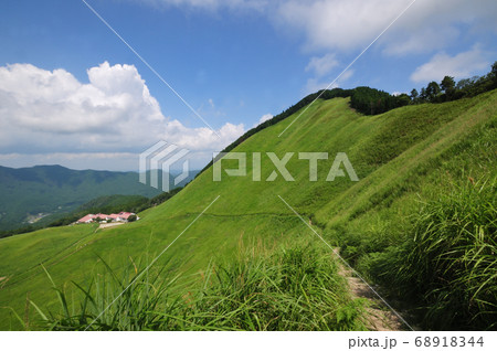 曽爾高原の夏 曽爾高原の夏 68918344