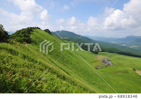 曽爾高原の夏 68918346