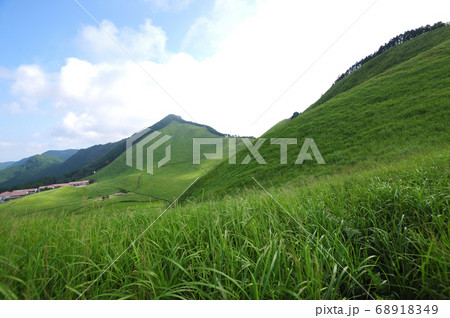 曽爾高原の夏 68918349