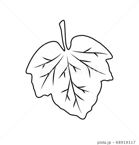 Leaf icon. Outline isolated on white background. Simple style. Vector illustration. Great for use as an additional design. For banners, cards, prints, textiles, logo, labels, and more creatives ideas. 68919317