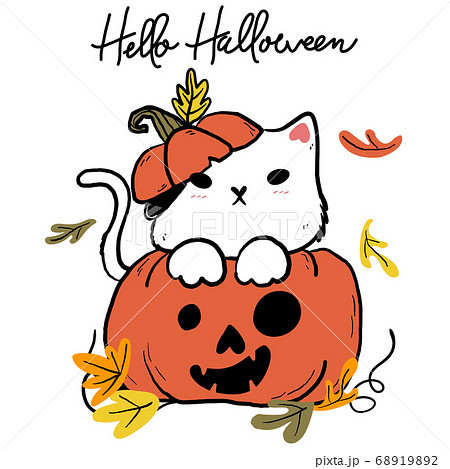 Cute Doodle White Fat Cat In Orange Autumn Pumpkinのイラスト素材 6192