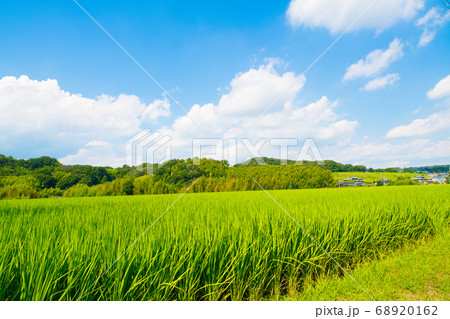 長野県白馬村　田園風景 68920162