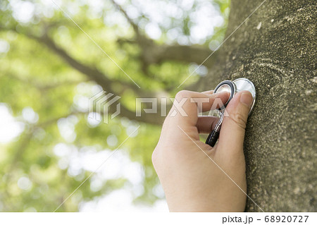 樹木医 樹木医 68920727