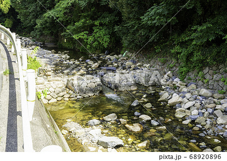 出口通り　出口川　飛び石　広島県府中市 68920896
