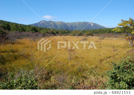 栃木県那須塩原市にある紅葉前の沼ッ原湿原の風景 68921553