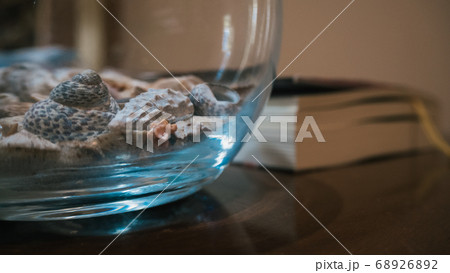 terrarium with sea shells. Includes a background book 68926892