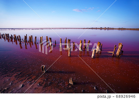 pink salt lake 68926946