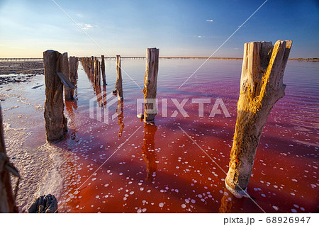 pink salt lake 68926947