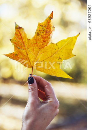 girl holds a yellow leaf 68927004