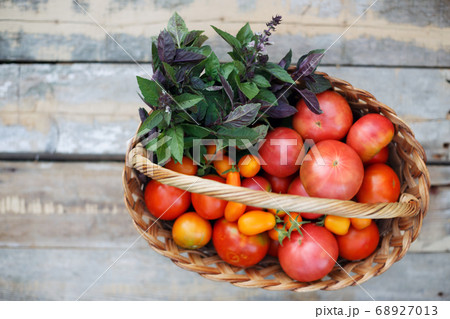 harvesting in a basket harvesting in a basket 68927013