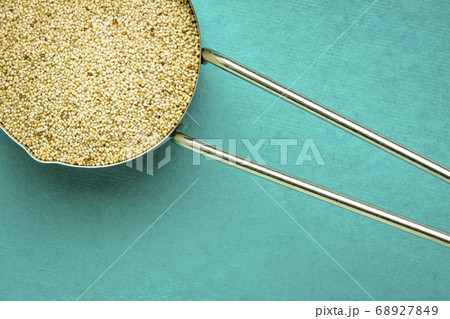 ivory teff grain in a metal measuring scoop ivory teff grain in a metal measuring scoop 68927849
