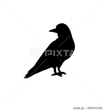 Vector Hand Drawn Raven Silhouetteのイラスト素材 Vector Hand Drawn Raven Silhouetteのイラスト素材