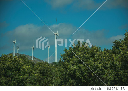 Wind turbines for electric power generation and trees 68928158