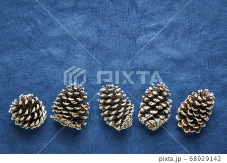 row of frosty decorative pine cones row of frosty decorative pine cones 68929142