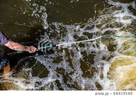 A man's hand catches fish with a butterfly net A man's hand catches fish with a butterfly net 68929580