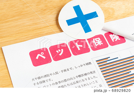 ペット保険イメージ ペット保険の比較、評判 × ペット保険イメージ ペット保険の比較、評判 × 68929820