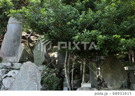 大山阿夫利神社 参道 大山阿夫利神社 参道 68931615