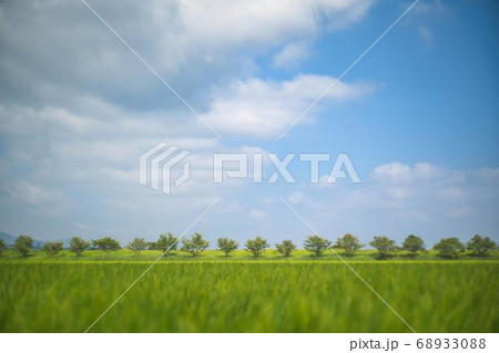 夏空と田舎風景 夏空と田舎風景 68933088
