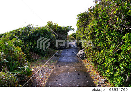 室戸岬　乱礁遊歩道 68934769