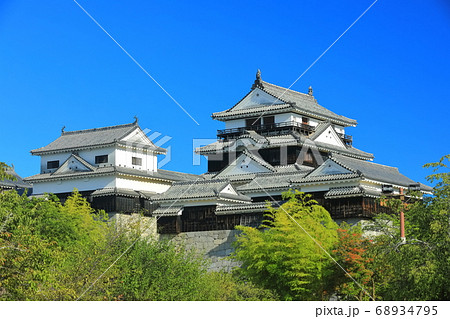 【愛媛県】晴天下の松山城（大天守と小天守） 68934795