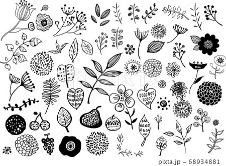 北欧風の植物と果物の線画セットのイラスト素材 6341