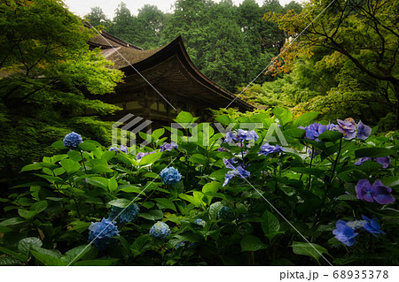 滋賀県　金剛輪寺　緑の世界 68935378