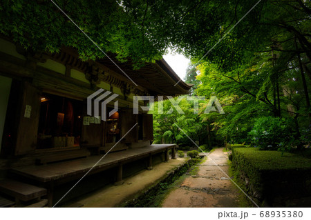 滋賀県 金剛輪寺 緑の世界 滋賀県 金剛輪寺 緑の世界 68935380