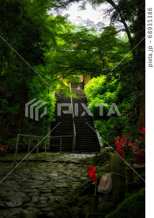 滋賀県　金剛輪寺　緑の世界 68935386