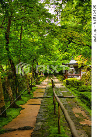 滋賀県　金剛輪寺　緑の世界 68935400