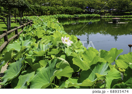 府中 府中公園 広島県府中市 府中 府中公園 広島県府中市 68935474