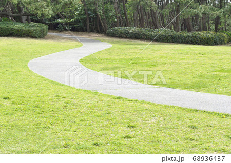 森に向かう芝生の中の道　 68936437