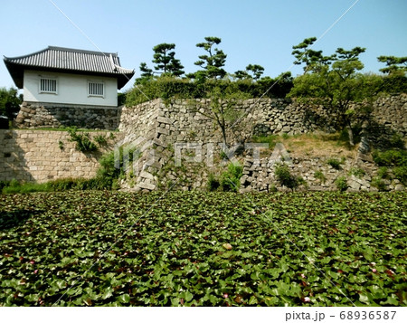 岸和田城 68936587