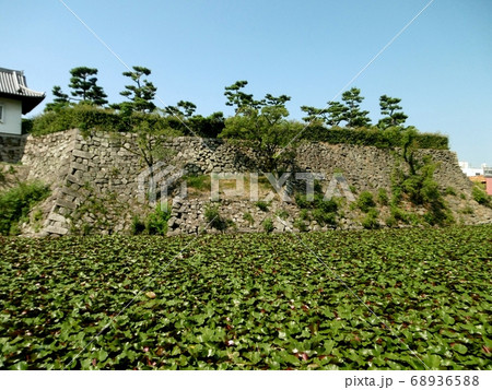 岸和田城 68936588