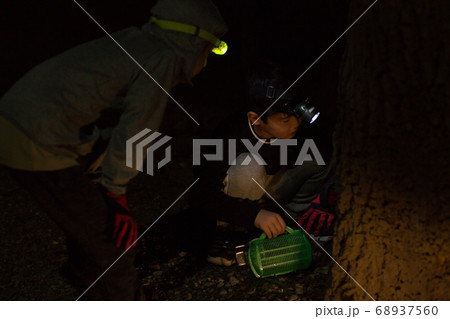 夜に虫取りをする子供たち 夜に虫取りをする子供たち 68937560